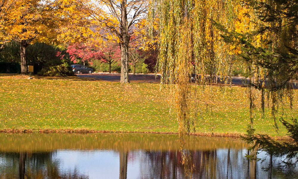 Welcome to Cold Spring Living and the New York Hudson Valley River Towns
